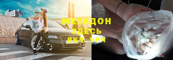 шишки Абаза