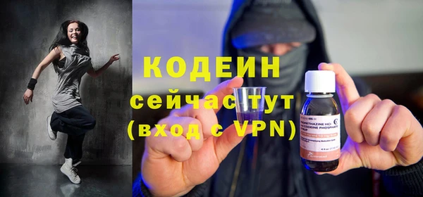 шишки Абаза