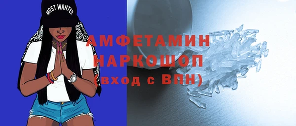 шишки Абаза