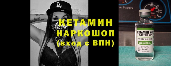 шишки Абаза