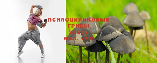 шишки Абаза