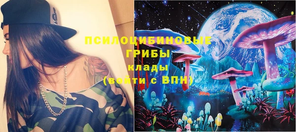 шишки Абаза