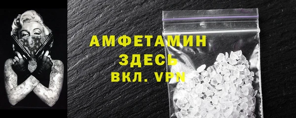 шишки Абаза