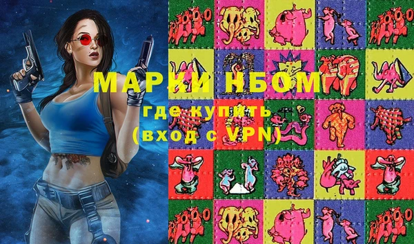 шишки Абаза