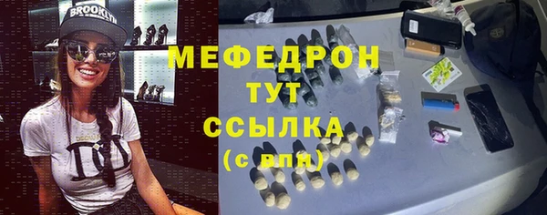 шишки Абаза