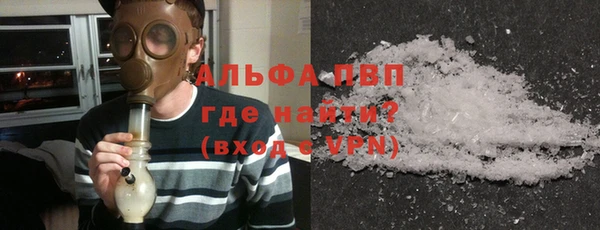 шишки Абаза