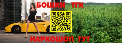 СК Протвино