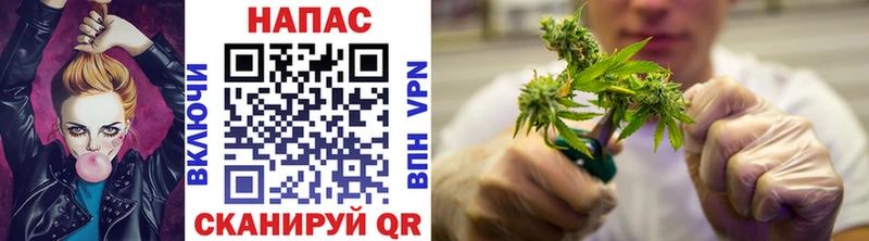 Бошки Шишки марихуана  Оренбург 